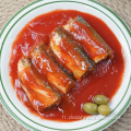 maquereau de poisson du pacifique en conserve à la sauce tomate 155g